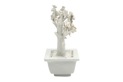 Lot 29 - A CHINESE BLANC DE CHINE MODEL OF A PRUNUS TREE