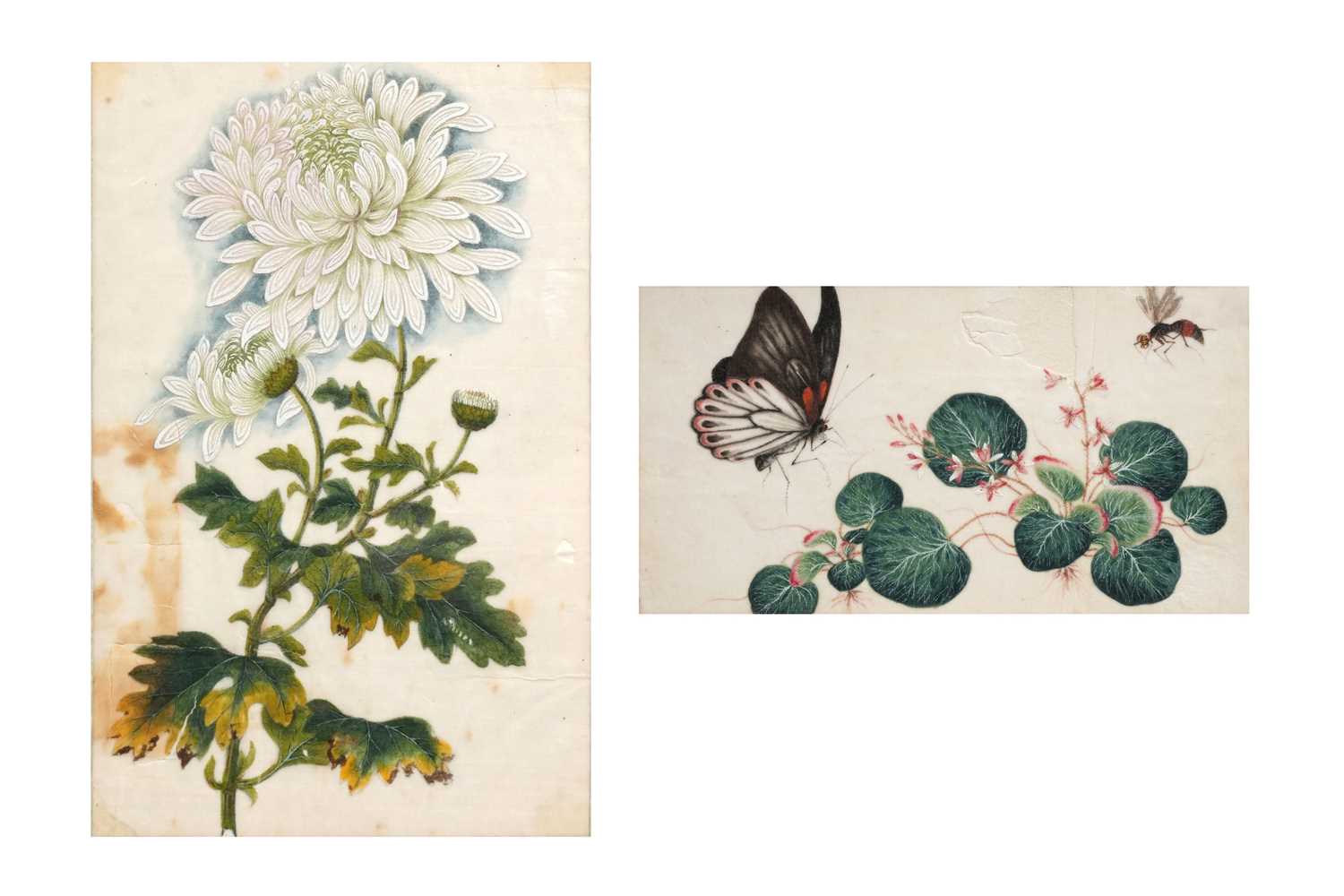 Lot 60 - TWO CHINESE RICE PAPER PAINTINGS