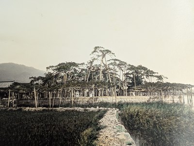Lot 145 - ADOLFO FARSARI (1841 – 1898)