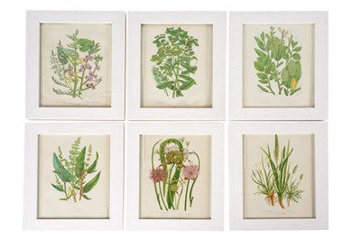 Lot 37 - ANNE PRATT (1806 - 1893), A SET OF EIGHTEEN BOTANICAL PRINTS