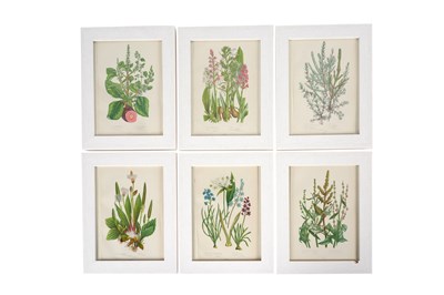 Lot 112 - ANNE PRATT (1806 - 1893), A SET OF SIX BOTANICAL PRINTS